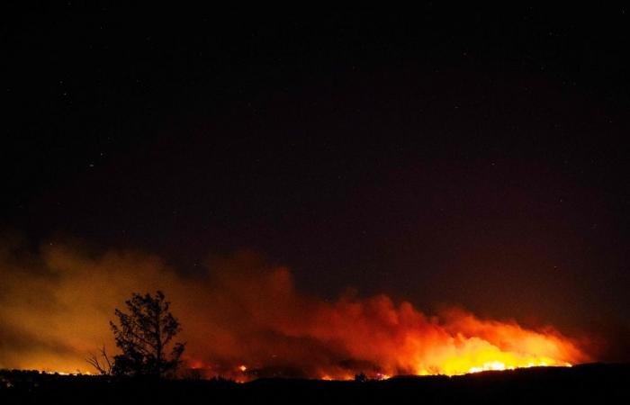 Europe on fire: 19,000 hectares devastated as record heat returns to south