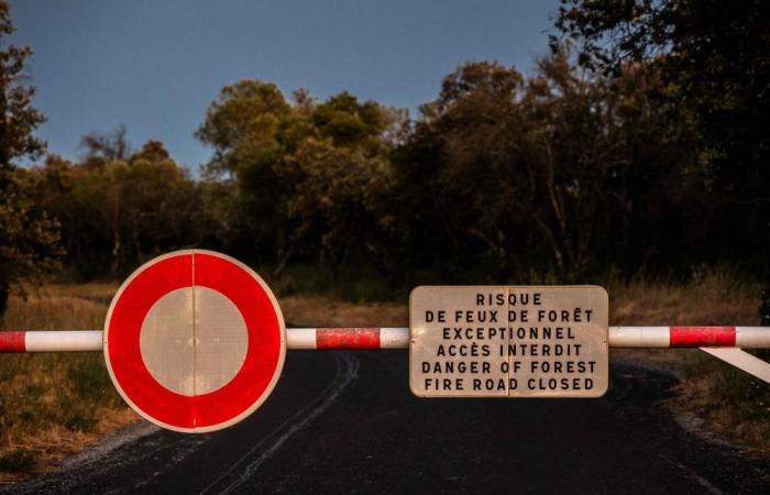 Europe on fire: 19,000 hectares devastated as record heat returns to south