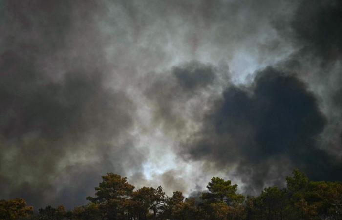 Current El Nino set to break all records, top weather expert warns
