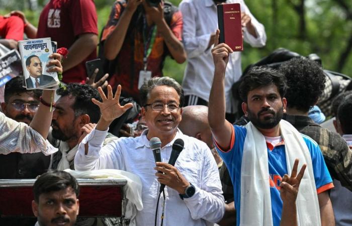 ‘Why not form a cockroach party?’ — How one engineer sparked India’s loudest youth revolt