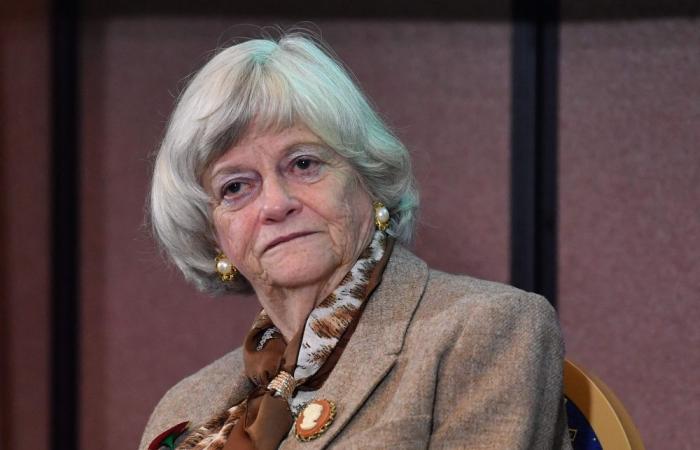 Second arrest in British politician Ann Widdecombe’s murder probe after first suspect released