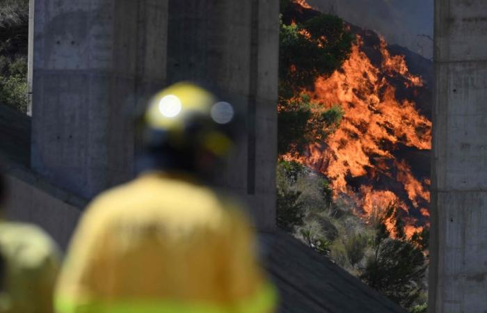 ‘Ring the bells’: Residents recall escape from deadly Spanish wildfire