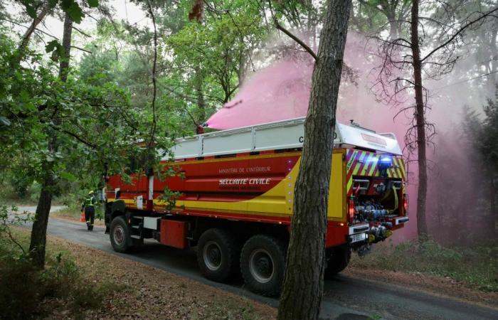 Wildfires ravage over 1,300 hectares of historic forest near Paris