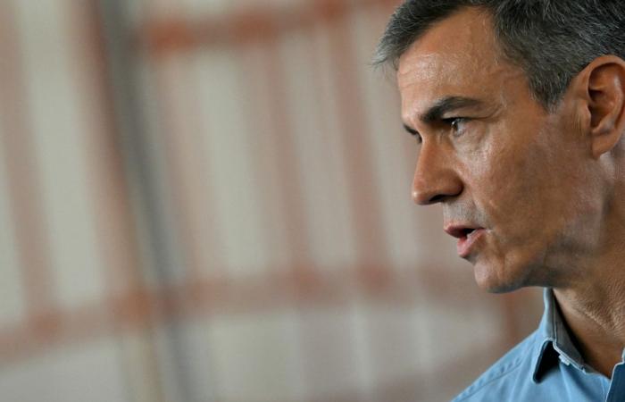 Spanish court bars PM Sanchez’s brother from public office for nine years
