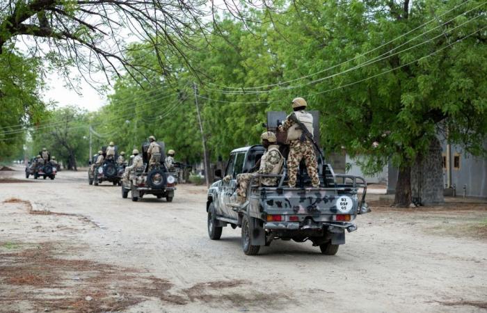Nigerian jihadists 'institutionalise' AI use for battlefield tactics, study finds