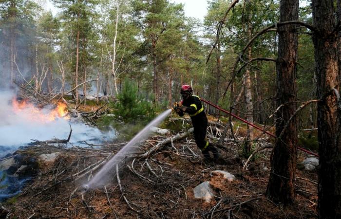 Volunteer firefighter held over suspected blaze in France’s Fontainebleau forest