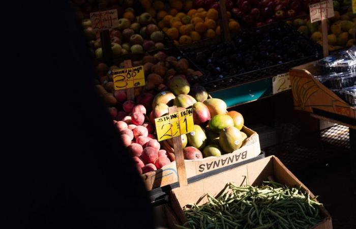Billions priced out of nutrition as UN says cost of healthy diet soars 25 per cent