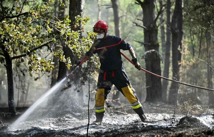 Macron vows ‘zero tolerance’ for arson as France battles devastating wildfires