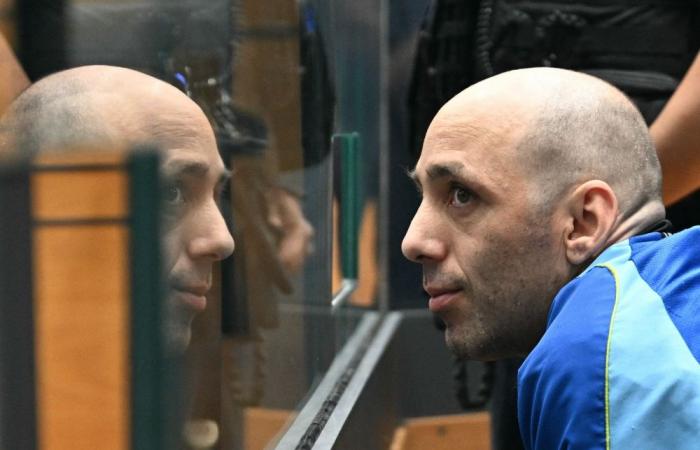 Confession cracks one of France’s most haunting missing person cases after husband jailed for 30 years