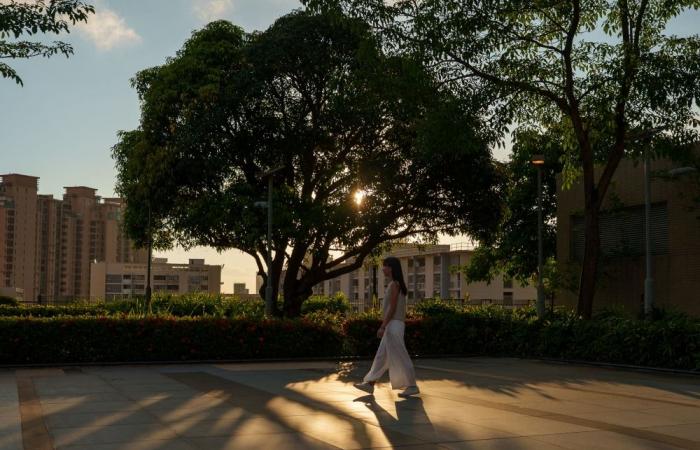 ‘Why didn’t you fight back?’: The question Hong Kong’s sexual assault survivors want banned