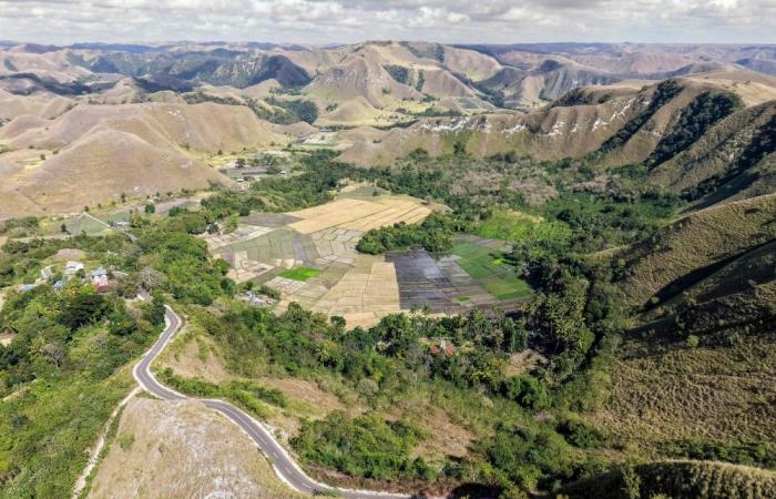 ‘I want my children to be free’: How slavery endures on Indonesia’s island of Sumba