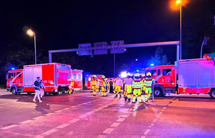 German chancellor Merz promises action after fatal car attack cuts Berlin Pride short