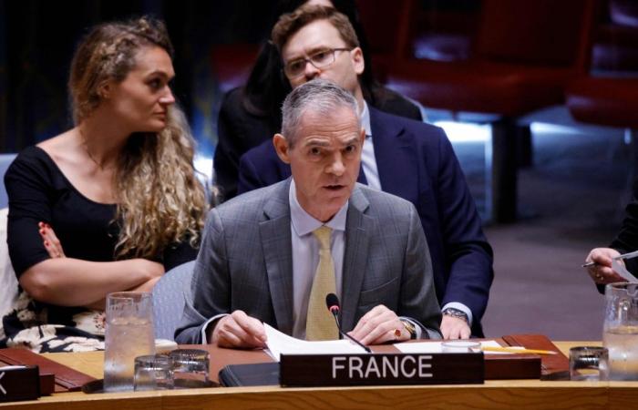 US walks out of UN Security Council over French envoy’s ‘North Korea’ comparison