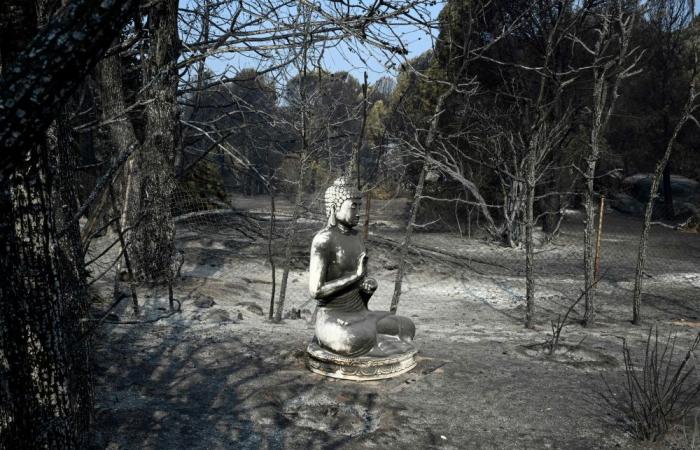 Returning home after the wildfires, one Spanish village confronts what remains