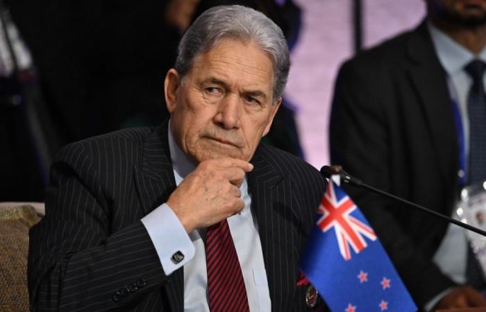 New Zealand foreign minister sparks diplomatic firestorm after telling China-born MP to ‘go back’