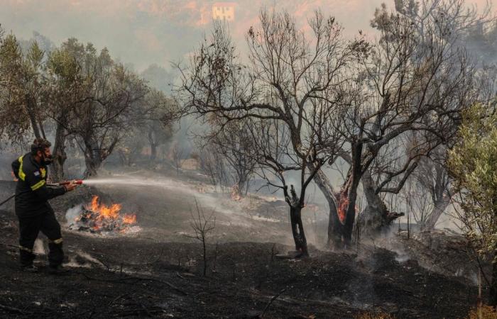Three firefighters killed as gale-force winds fan wildfires across Greece