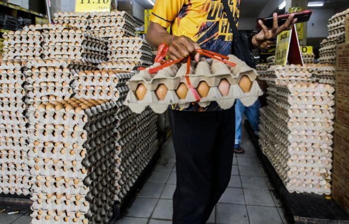 No more eggxit: Backlash forces West Bengal to rethink ‘pure’ vegetarian school meals