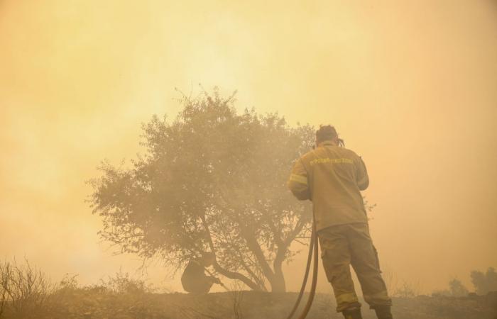 The ‘monster’ fires are coming: Are Australia’s strategies the only way to save Europe?