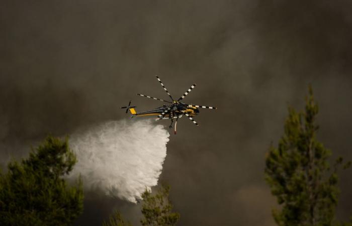 The ‘monster’ fires are coming: Are Australia’s strategies the only way to save Europe?