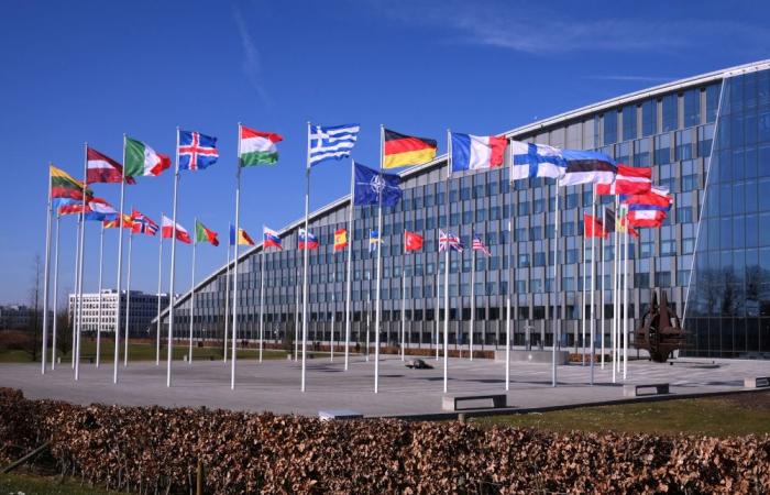 Ex‑army chief Zaluzhny: Ukraine will never join Nato, cites outdated doctrines