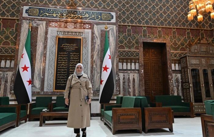 Actress, Christian professor, Kurdish leader: Meet the women shaping Syria’s new Parliament