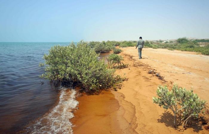 Oil slick threatens Iran’s coast as Hormuz shipping crisis deepens