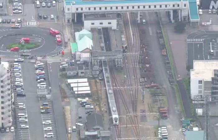 Four workers killed in rare Japan train accident at station north of Tokyo