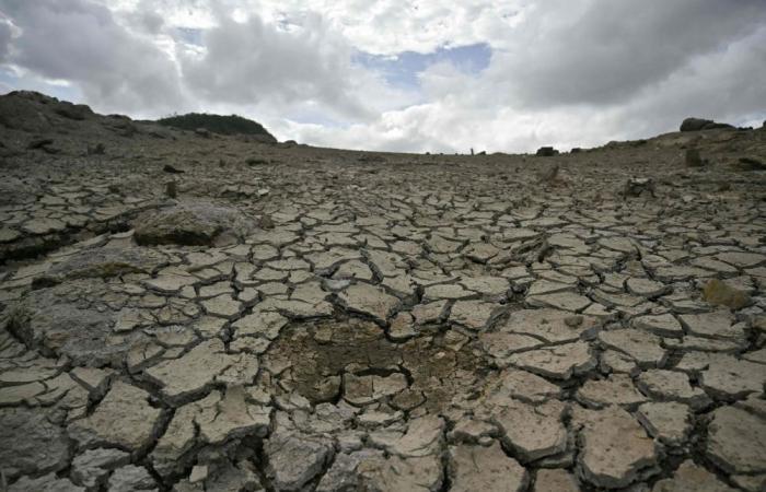 El Nino set to be strongest in more than a century, UK Met Office warns