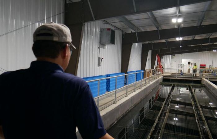 America looks to polluted mine water to loosen China’s rare earth grip