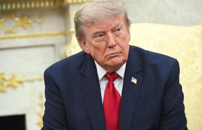 Trump declares national emergency over foreign-made equipment in power grid