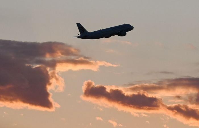Mosquito on a plane? Two Frankfurt airport workers die after catching malaria from suspected stowaway insect