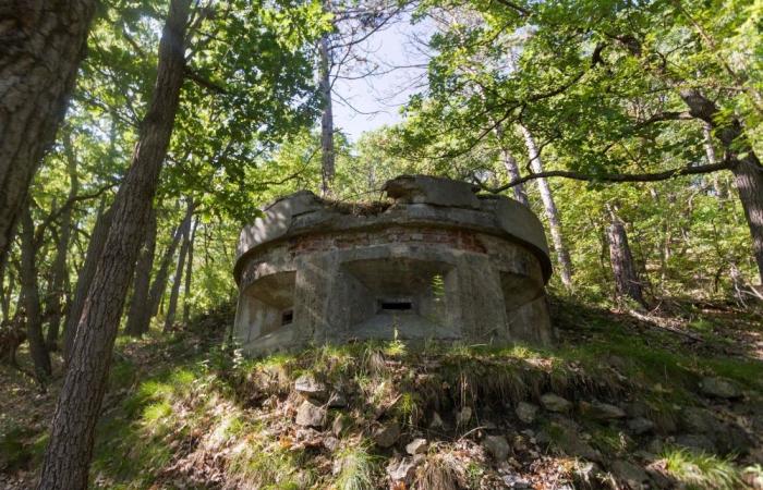 ‘Grief, anger, rage’: Austria’s Nazi past collides with business plans at former camp site