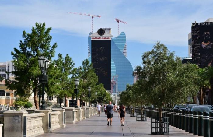 The Trump slump: Why the US president’s promised ‘No Tax on Tips’ isn’t enough to keep Las Vegas workers afloat
