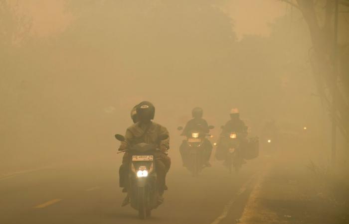 Air quality hits unhealthy to hazardous levels in southern Asean as thick smoke drifts from Kalimantan and Sumatra