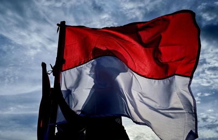 Indonesia probes reports of nationals serving in Russian military during Ukraine war