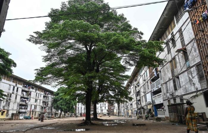 Ivory Coast housing crunch leaves Abidjan home-hunters struggling to keep up