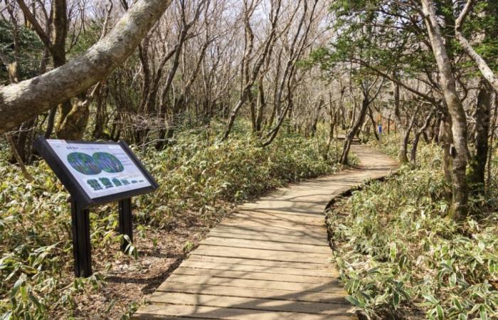 Jeju missing persons scandal: Police say South Korea cop closed missing persons cases to avoid work