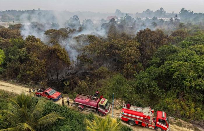 Indonesia conducts water bombing to contain wildfires near future capital Nusantara