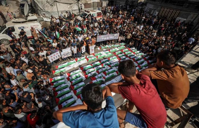 Germany asks UN court to throw out Gaza genocide case