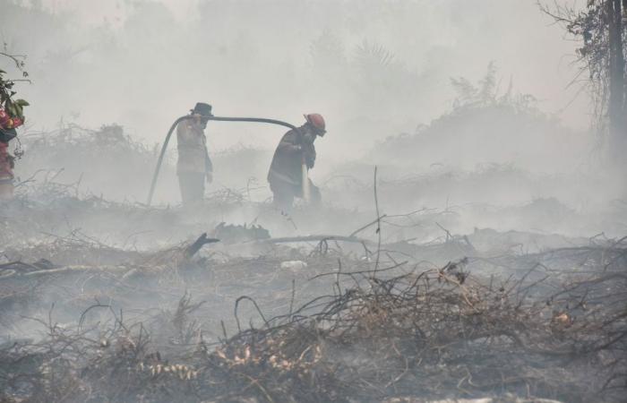 ‘Breathing toxin every day’: Indonesians choked by haze feel helpless as smoke drifts into Malaysia and wider SE Asia