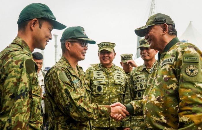 As haze chokes South-east Asia, Indonesia’s army throws everything at forest fires