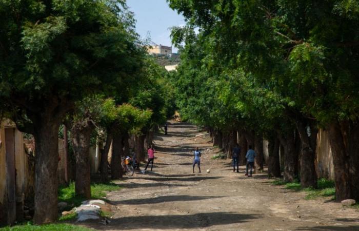 US lifts Eritrea sanctions imposed over Ethiopian war to advance ‘regional interests’
