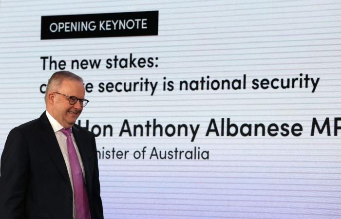 Australian PM says rogue OpenAI model hacked government health portal