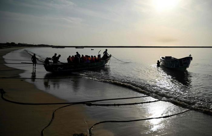 Could vanish by 2036: India races to save shrinking island with artificial reefs