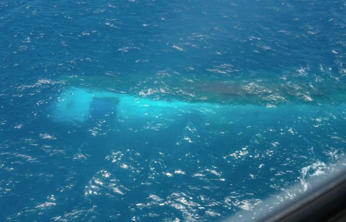 Indonesian authorities detain ferry captain, dozens still missing in Java Sea sinking