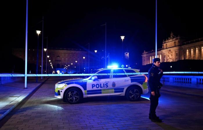 Swedish police shoot armed man outside Stockholm’s Royal Palace