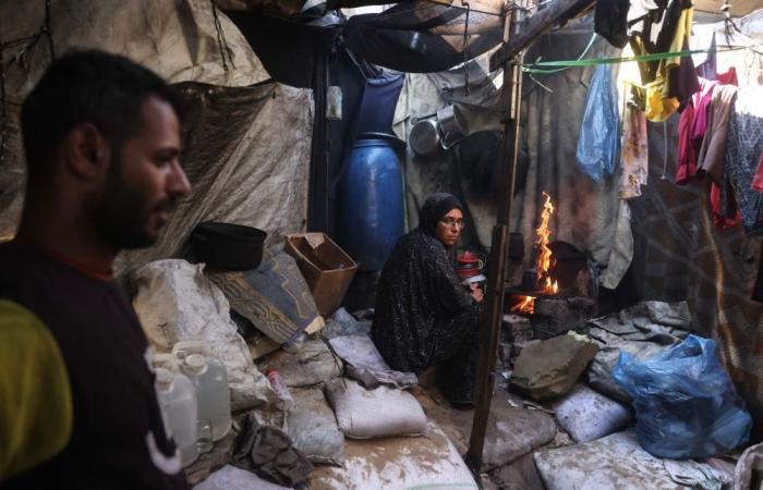 A year after Gaza ceasefire, families still queue hours for one meal a day