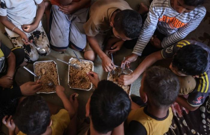 A year after Gaza ceasefire, families still queue hours for one meal a day
