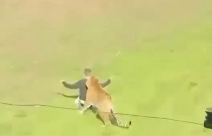 Police: Man dies after tiger attack at UK zoo