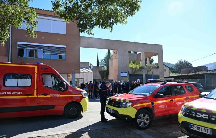 ‘I’ve only come for the teachers’: Student opens fire at French school, wounds two